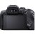 Canon EOS R10 Mirrorless Camera Body with EF-EOS R mount adapter